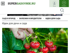 'supersadovnik.ru' screenshot