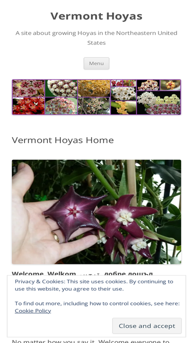 vermonthoyas.com
