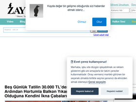 'zaytung.com' screenshot