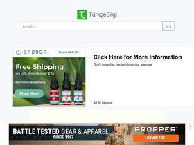 'turkcebilgi.com' screenshot