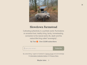 slowdownfarmstead.com