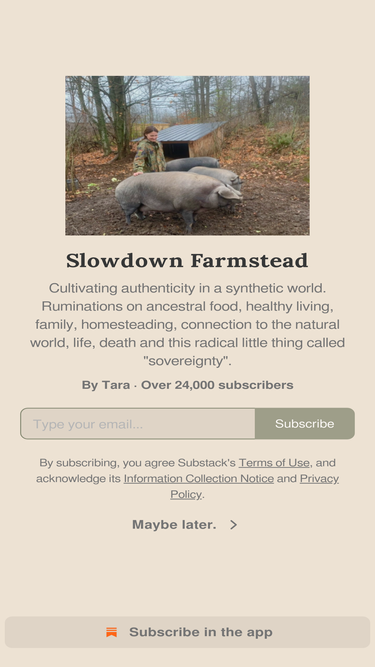 slowdownfarmstead.com