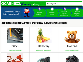 'ogarnieci.pl' screenshot