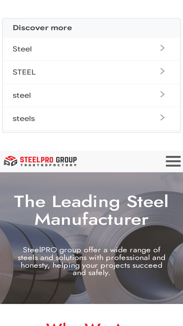 steelprogroup.com