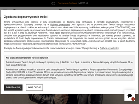 'denley.pl' screenshot