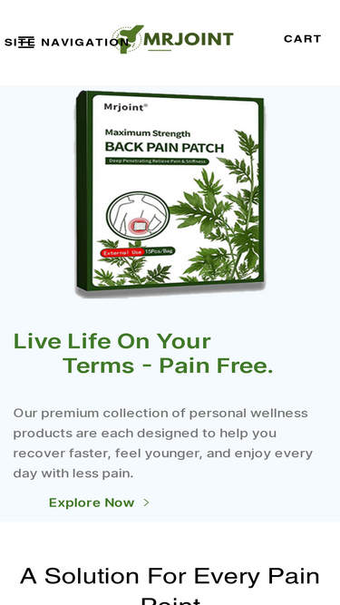 mrjointpatch.com