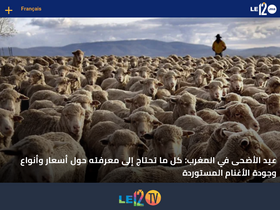 'le12.ma' screenshot