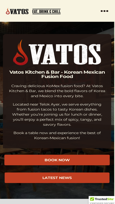 vatossg.com