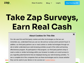 'zapsurveys.com' screenshot
