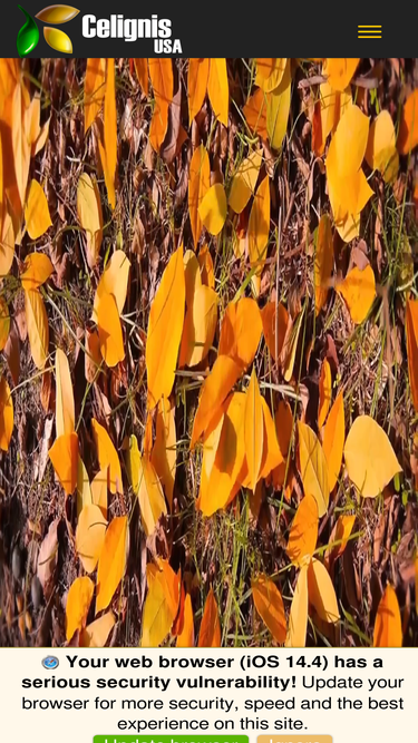 celignis.com