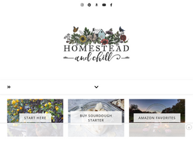 'homesteadandchill.com' screenshot