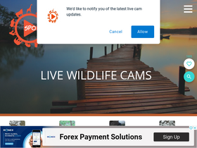 'sportsmansparadiseonline.com' screenshot