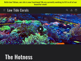 lowtidecorals.com homepage screenshot