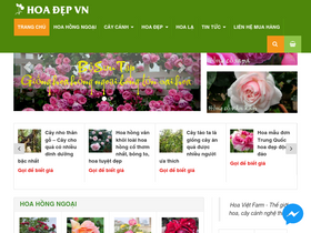 'hoadepviet.com' screenshot