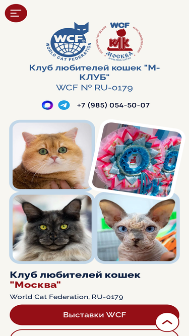 mos-cat.ru