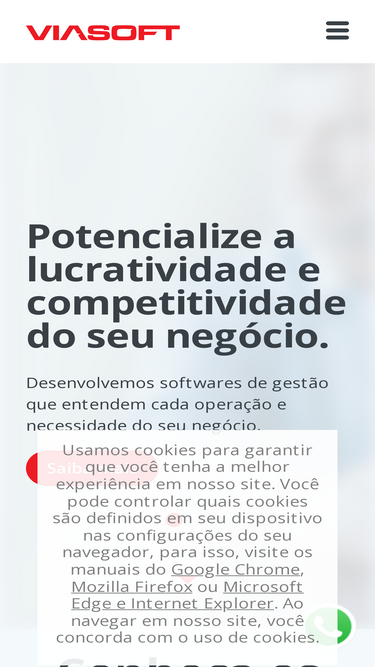 viasoft.com.br