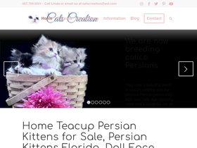 catscreation.com