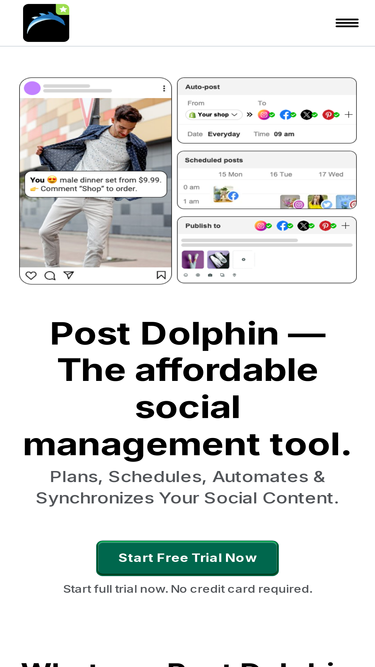 dolphinsuite.com