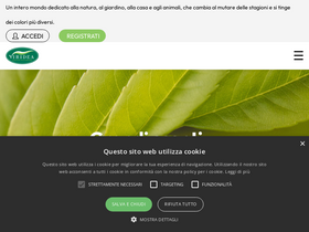 'viridea.it' screenshot