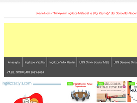 'okanelt.com' screenshot