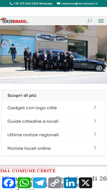 terzobinario.it