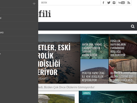 'arkeofili.com' screenshot