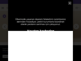 'lansinoh.com.tr' screenshot