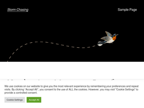 traddstormchasingtours.com