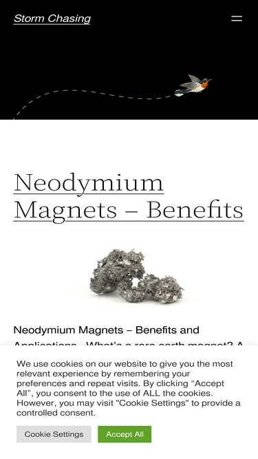 traddstormchasingtours.com