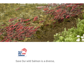 wildsalmon.org