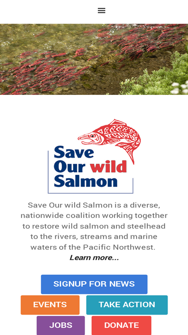 wildsalmon.org
