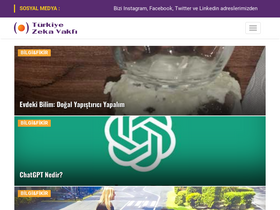 'tzv.org.tr' screenshot