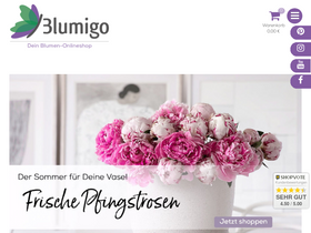 'blumigo.de' screenshot