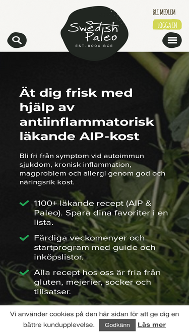 swedishpaleo.se