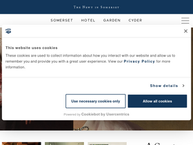 'thenewtinsomerset.com' screenshot
