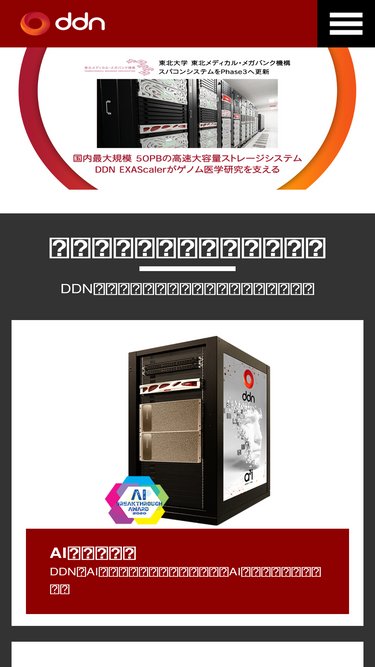 ddn.co.jp