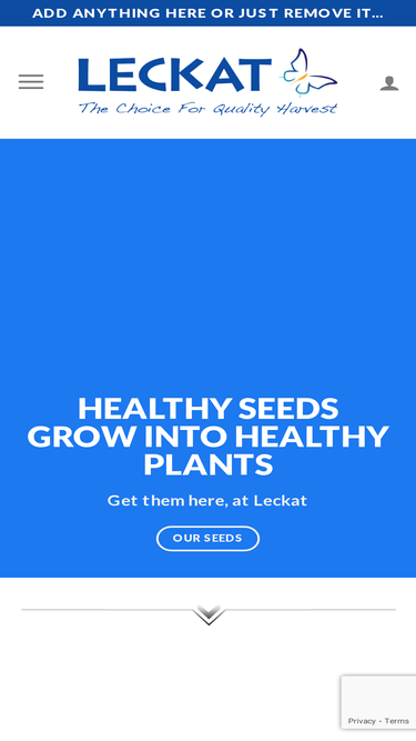 leckat.com