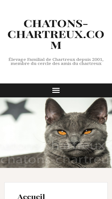 chatons-chartreux.com