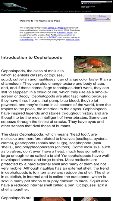 thecephalopodpage.org