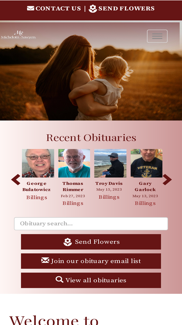 michelottisawyers.com