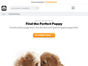 'uptownpuppies.com' screenshot