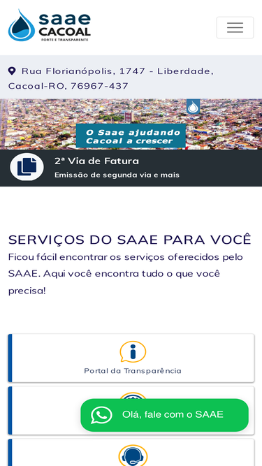 saaecacoal.com.br