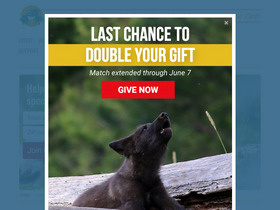 'biologicaldiversity.org' screenshot