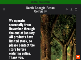 northgeorgiapecan.com homepage screenshot