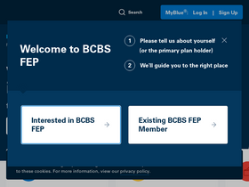 'fepblue.org' screenshot