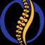 firstalternativechiropractic.com