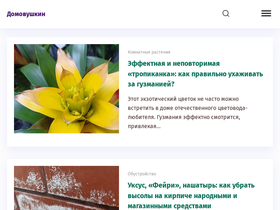 'domovushkin.ru' screenshot