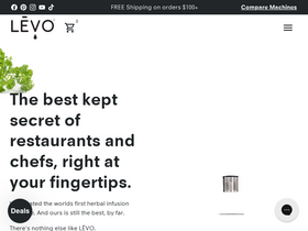 'levooil.com' screenshot