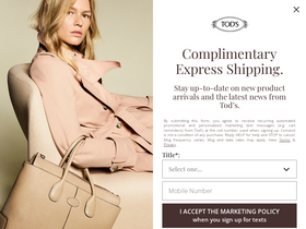 'tods.com' screenshot