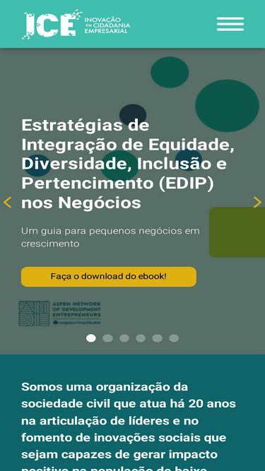ice.org.br
